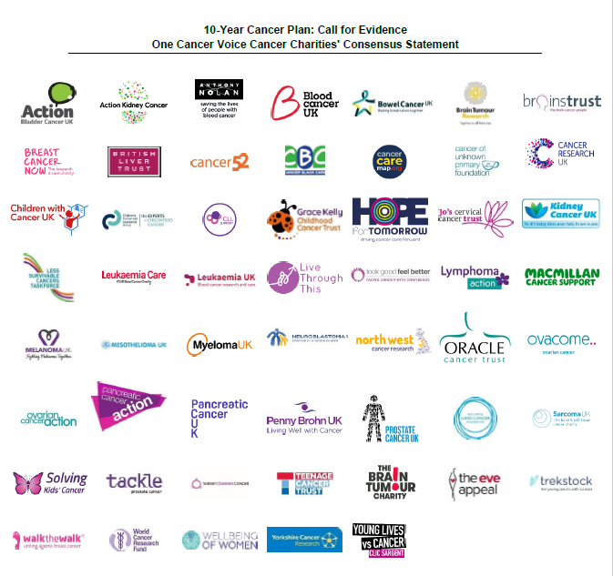 OCV 10 Year Cancer Plan Image